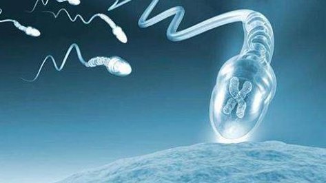 死精率80%的男性可以在乐昌市做三代试管吗？公开2026做三代试管条件