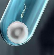 2026年想去延吉市做试管婴儿需要准备哪些事？详细收费明细一览