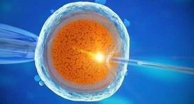 2026年国内无结婚证如何做试管？济南可以做吗？