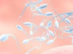 泰国三代试管私立机构公司，透明报价，拒绝隐形收费